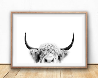 Highland Cow Print - Farm Animal Wall Art, Digital Download, Cow Poster, Cattle Photography, Animal Portrait, Black And White, Farm Nursery