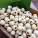 8mm Beige wood beads, pack of 350 beads | beads for malas | lightweight wood beads | bulk boho wood beads | wooden beads | #WALB8S-002