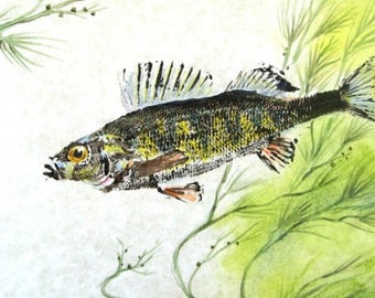 GYOTAKU fish Rubbing yellow Perch 8.5 X 11 quality Art Print Cottage Decor by artist Barry Singer