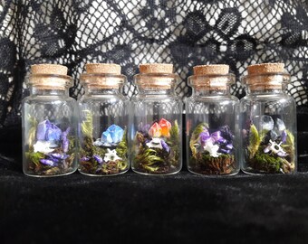 Tiny Mystical Terrariums - Elemental Series