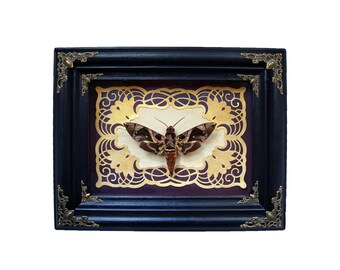 Gothic home decor | Etsy