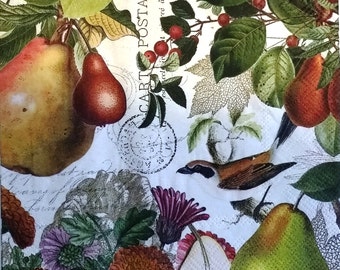 TWO (2) Golden Pear, Birds, Luncheion Napkins for Decoupage and Paper Crafts