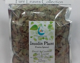 Insulin Plant Pure Leaves, Dried & Crushed Costus picstus (3oz, 8oz, 12oz)
