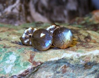 Labradorescence Exists Rose Cuts 6mm Faceted Labradorite Stud Earrings Earings Titanium Post and Clutch Flash Sparkly Magic Hypo-Allergenic