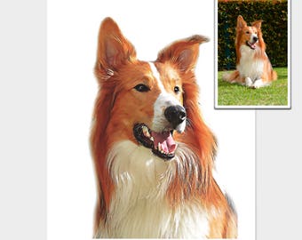 Custom Pet Portrait, Original digital photo processing.