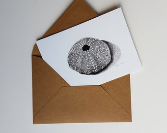 Sea urchin shell, print of a pen and inkdrawing, double card with envelope
