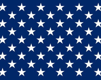 Fifty Stars Stencil (Reusable)
