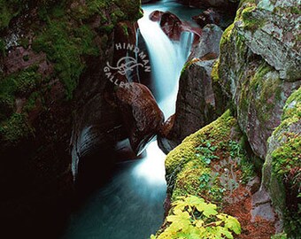 Avalanche Creek - Glacier NP