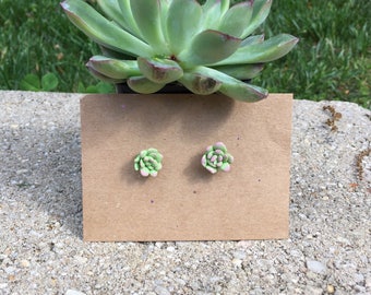 Succulent Earrings - Polymer Clay - Polymer Clay Succulent Earrings