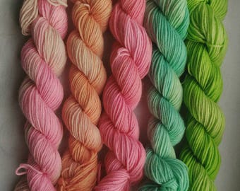 Mini skeins/ set of 5 sock mini skeins/ Hand dyed yarn