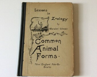 1898 Common Animal Forms/Lessons in Zoology/Clarabel Gilman/First Edition/New England Pub. Co. Boston/Rare Books/Collectible Books/Zoology
