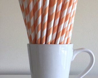 Peach Striped Paper Straws Light Coral Striped Party Supplies Party Decor Bar Cart Cake Pop Sticks Mason Jar Straws Graduation Party