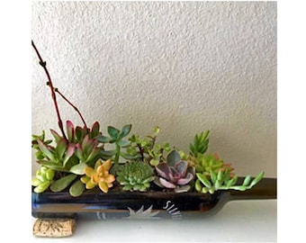 SALE! - Wine Bottle Planter (no plants) / Wine Gifts / Wine Bottle Decor / Indoor Plants / Succulent / Indoor Herb Garden Alcohol Gifts