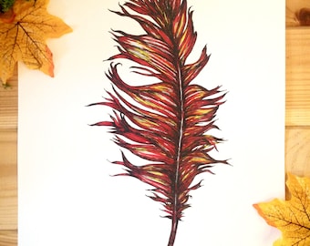 Original feather illustration.