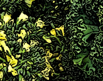 Abstract Yellow Flowers with Greens