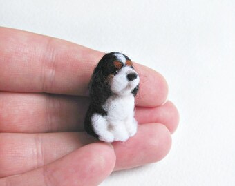Tiny Cavalier King Charles spaniel