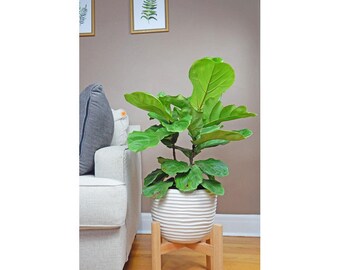 Large Plant Stand/Mid Century Modern Planter/Modern Wooden Plant Stand/tall Pot stand/Indoor Plant Stand/Wood Plant Stand/flower pot holder