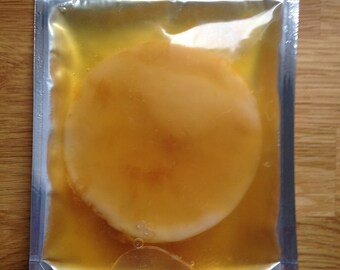 Scoby Kombucha Tea Organic