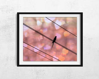 Bird on Wire Photography - Bird Photography - Bird Wall Art - Bird Wall Decor - Nature Wall Art - Nature Wall Decor - Bird Art