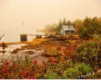 Nova Scotia Fishing Shack, Rustic House Print, Tree Photography, Autumn Colors, Old Style Country House, Wall Art, Home Decor, Mudroom Print
