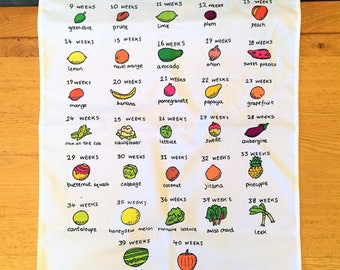 Baby Food Size Chart