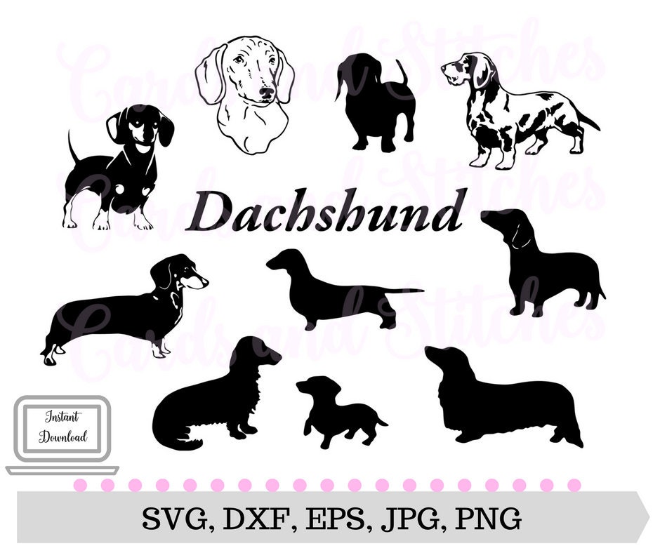 Download Dachshund SVG Dachshund Silhouettes Dog Breeds SVG