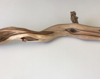 Manzanita Branch | Mountain Driftwood | Home Decor | Rustic Weddings | Reptile habitat | Bird Perch