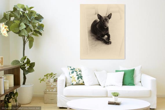 VIETNAM STORIES 2. Dog Photography, Animal Portrait, Vietnam, Sepia Tone Print, Photographic Print, Pet Picture