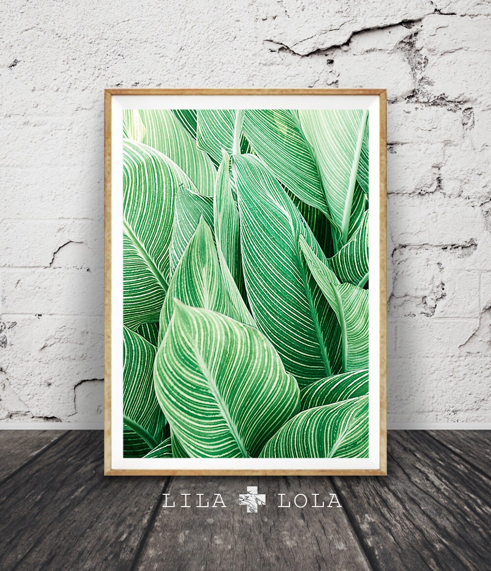 Large Metal Leaf Wall Decor Prepossessing Leaf Wall Art Print Tropical Plant Photo Printable Large Decorating Design Large Metal Leaf Wall Decor Best Leaf Wall Art Print Tropical Plant Photo Printable Large Design Ideas