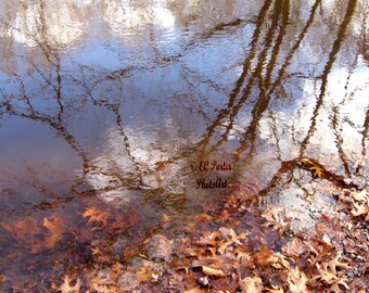 Reflections in a pool off the Pawtuxet River, RI