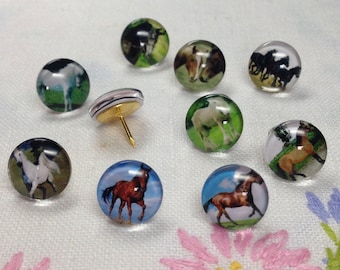 Decorative Push Pins, Drawing Pins, Horse Push Pins, Thumbtacks, Cork Board Pins, Horse Drawing Pins, Teachers Gift