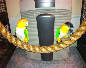 BEST SELLING! Tiki Rope perches / parrot swings - 4' length x 1.5" diameter. Outstanding toys for cockatoos, African Greys, Amazons, conures