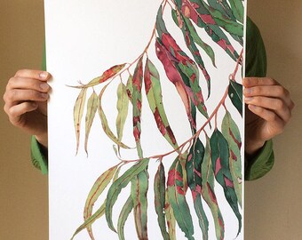 Gum tree print A3 - botanical watercolour print eucalyptus leaves - Australian native wall art - red green foliage
