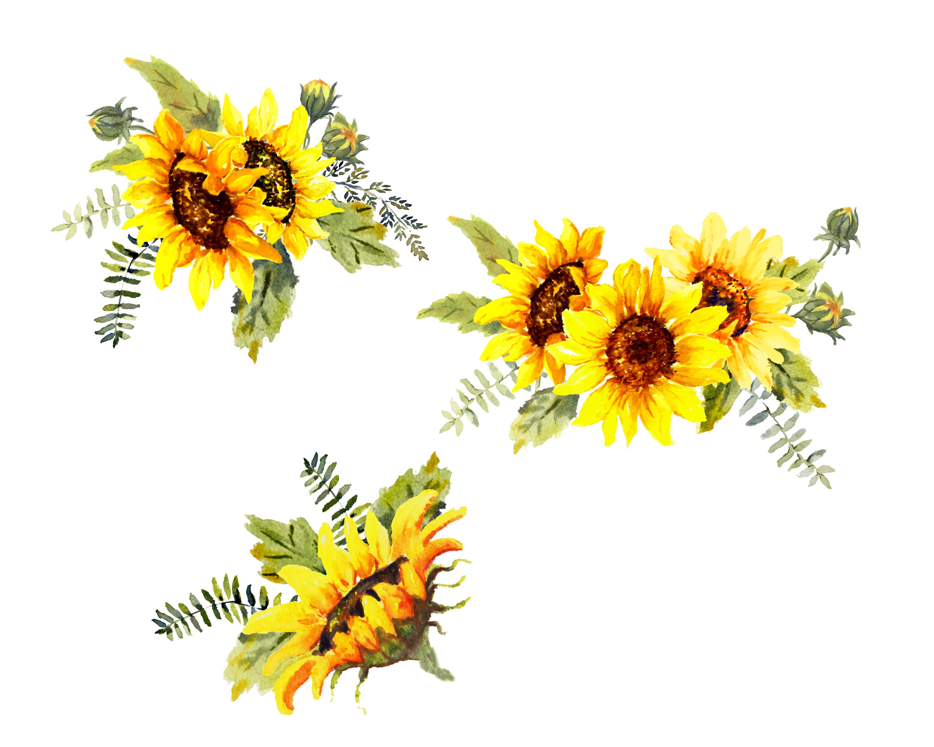 Download Sunshine and Sunflowers, Watercolor Sunflowers Floral Clip Art, Wedding Clip Art PNG Files ...