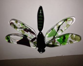 Stunning Dragonfly - Fused Glass