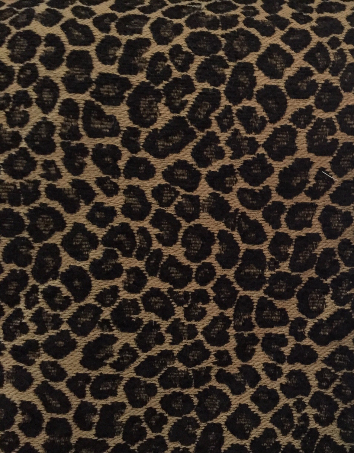 Leopard Spots Traditional Leopard Black and Tan