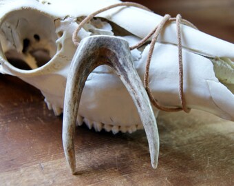 Forked Antler Tip Necklace with Natural Rawhide Leather Cord - natural jewelry
