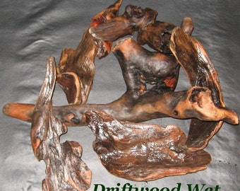 Driftwood 50 Beautiful Pieces 5 inches and under Bulk