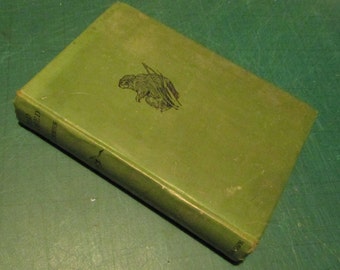 1922 1st edition Wild Kindred By Jean M. Thompson, illustrated by Warwick Reynolds and Charles Copeland The narrow escape of velvet wings