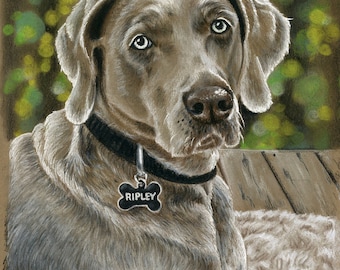 Custom Dog portrait, Pet portrait, Dog Drawing, Dog art, art by Karly Marie