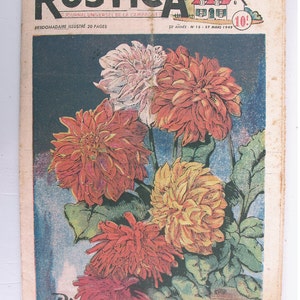 1948, French review, RUSTICA, Plant dahlias, antique French flower illustration, Dahlias