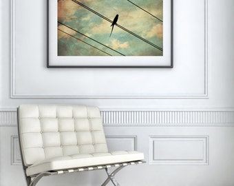 Bird on Wire Photography - Bird Photography - Bird Wall Art - Bird Wall Decor - Nature Wall Art - Nature Wall Decor - Bird Art