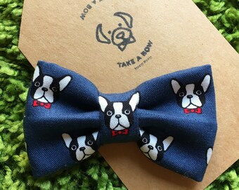 BOSSY THE BOSTON - Boston Terrier in Bowtie / Dog Bowtie / Pet Bowtie / Boston Terrier / Frenchie / French Bulldogs /