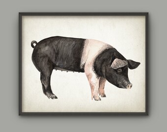 Pig watercolor | Etsy