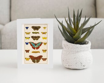 Original Art Greeting Cards-Pkg of 6 With Envelopes