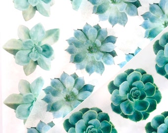 Edible Wafer Succulents--3 sheets