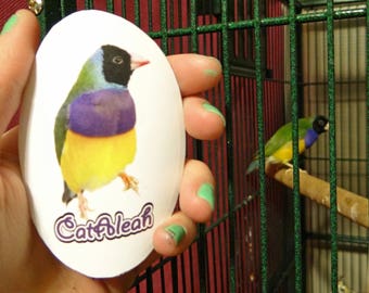 CatAleah STICKER - Gouldian Finch (Chatot)