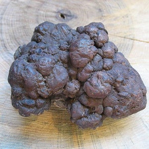 fossilized poop