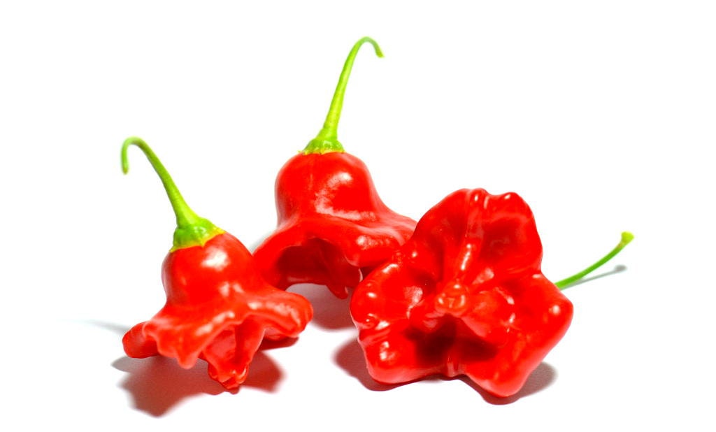 Crown Jokers Friars Hat Orchid Christmas Bell