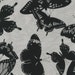 Robert Kaufman - Smoke Butterflies - AJS15019293 - Black and White Collection - Grey - Butterflies - Black - Smoke - One More Yard